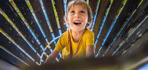 Tactile-Kinesthetic Learning – Scholar Within