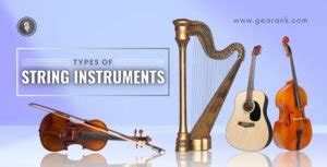 Image result for All Types of String Instruments