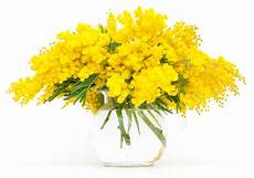 fiori per festa della donna il galateo dei fiori quello sai e non sai fiori per festa della donna il galateo dei fiori quello sai e non sai