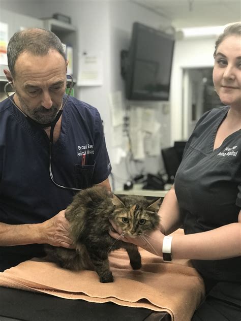 Broad River Animal Hospital