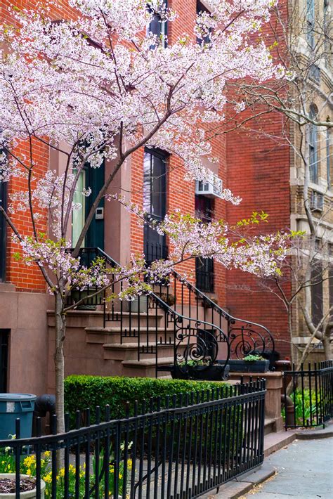 10 CHARMING Brooklyn Neighborhoods (Worth Knowing About)