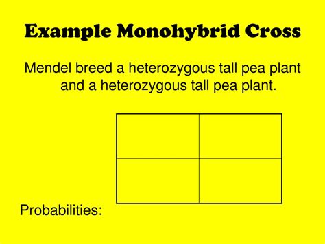 PPT - Punnett Squares PowerPoint Presentation, free download - ID:8684265