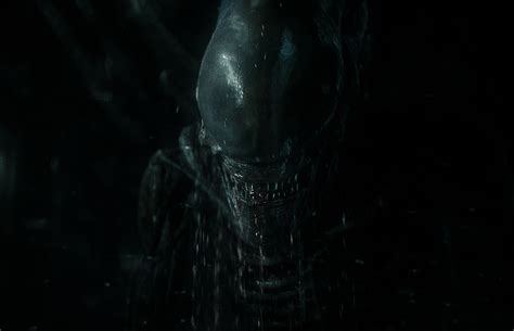 Image result for Alien Covenant Face