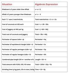 Important Formulae And Points To Remember Expressions Using Letter ...