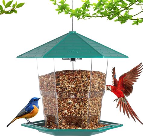 Amazon.com : JTisiafly,Bird Feeders for Outdoors,Small Bird Feeders ...