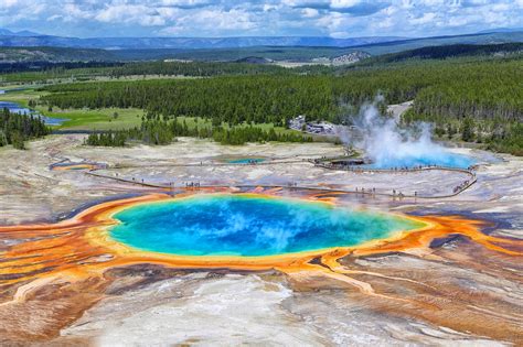 Ecosystem Of Yellowstone National Park