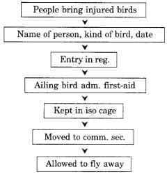 Passage 7: Note Making and Summarizing - Class 11 English Grammar PDF ...