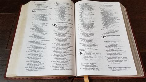 Best Catholic Bible Studies at Beverly Marone blog