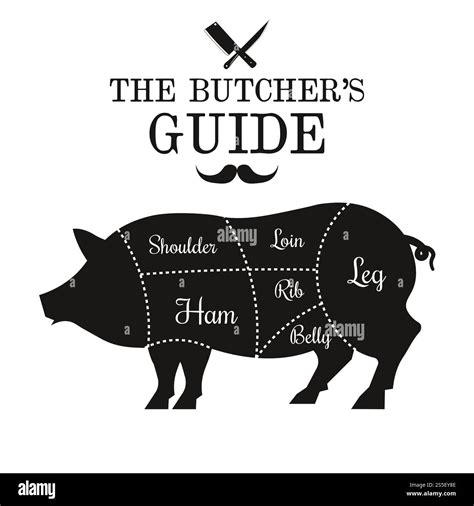 Pork meat cut lines diagram on the outline of a pig, hog, butcher shop ...