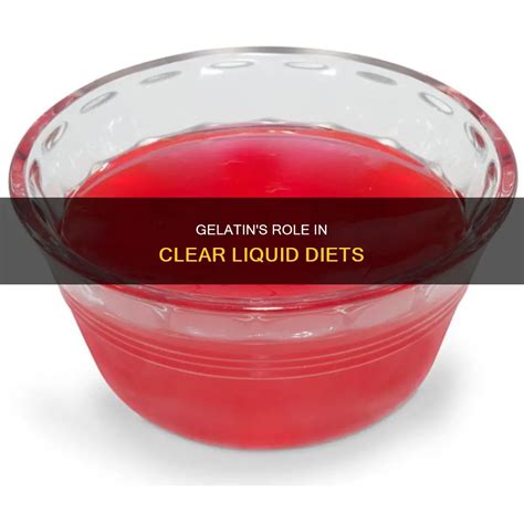 Gelatin's Role In Clear Liquid Diets | ShunKeto