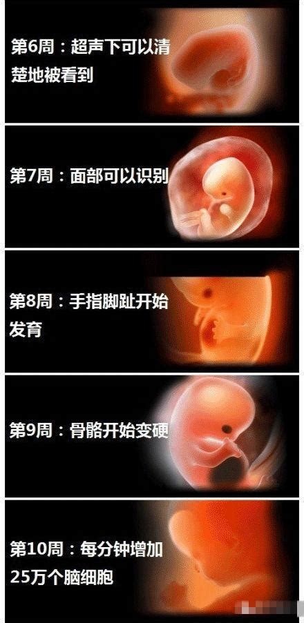 你想知道怀孕9周宝宝是什么样子和孕妇身体有哪些变化吗？