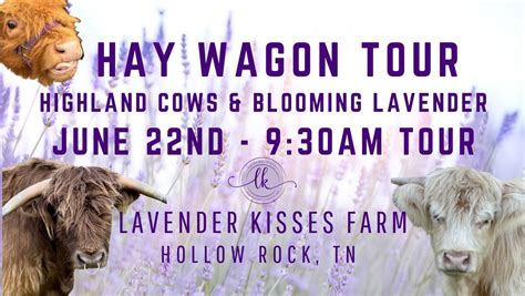 Coos & Lavender Hay Wagon Tour, Lavender Kisses Farm, Hollow Rock, 22 ...
