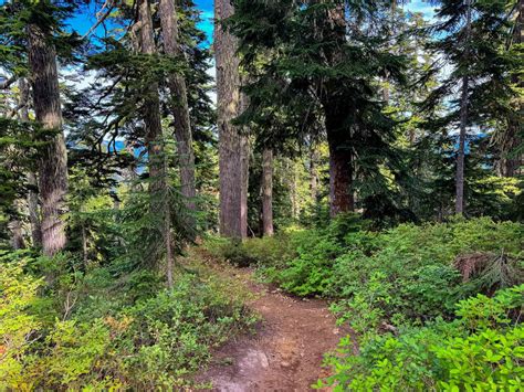Guide to the Stunning Blanca Lake Hike in Washington