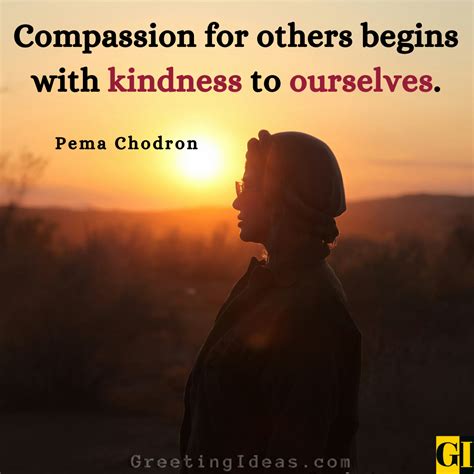 80 Famous Compassion Quotes To Ignite Kindness Within
