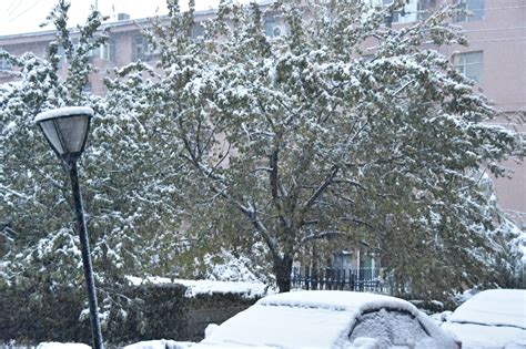 乌鲁木齐下雪了_哔哩哔哩_bilibili