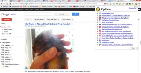 Image result for Saveweb2zip Tutorial
