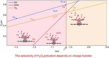 H2O2 Reactor 的图像结果