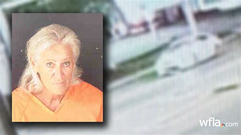 Arrest made in Sarasota hit-and-run that killed 2 children, injured ...