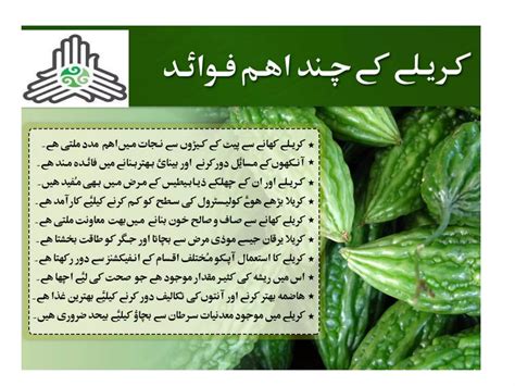 Herbal Medicine Uses In Urdu: A Practical Guide For Beginners
