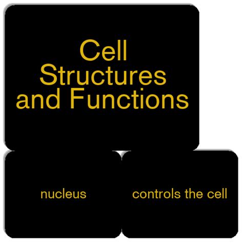 Cell Structure with Name Sign 的图像结果