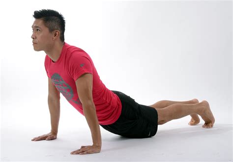 Mizi Back Exercises 的图像结果