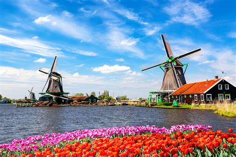 Image result for HTML Webisite Example