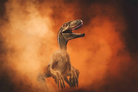 Blue Velociraptor Facts at Steve Courtney blog