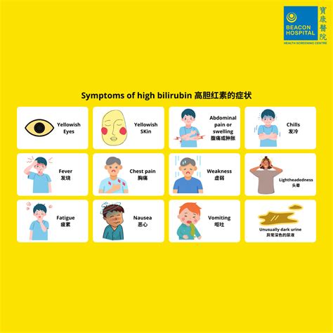 Liver Function Test (Part 1) | Health Screening Guide – Beacon Health Screening Centre