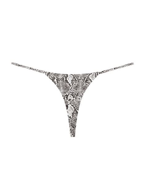 Image result for String Bresil