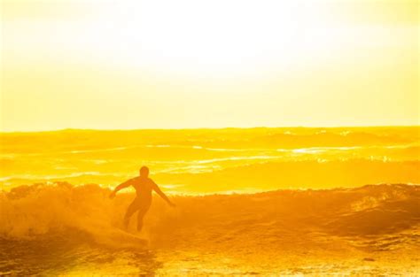 Image result for Dexa Scan Interpretation