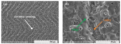 Adhesion Strength and Anti-Corrosion Performance of Ceramic Coating on ...