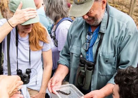 Snakes, Salamanders, and Small Mammals Walk with Tom Tyning at ...