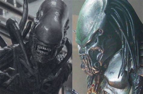 Image result for Alien vs Predator Reboot