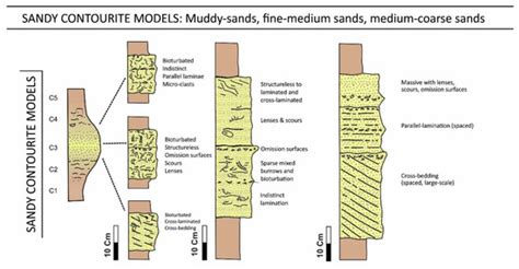 Distinguishing between Deep-Water Sediment Facies: Turbidites ...