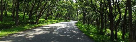 Delighting South India Tour | South India Tourism