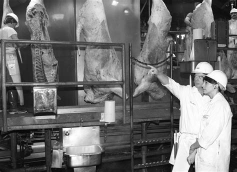 Image result for Beef Processing Process