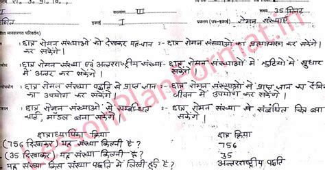 Maths Lesson Plan in Hindi | Roman Number | B.ed | Deled