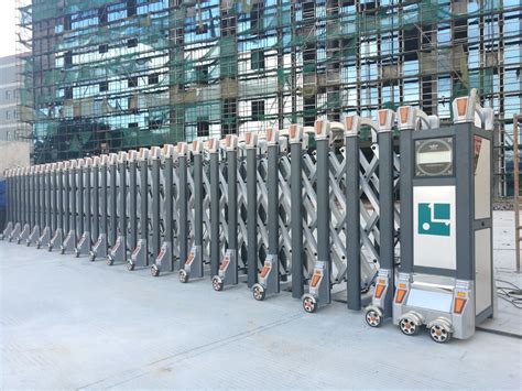 Automatic Gate 的图像结果