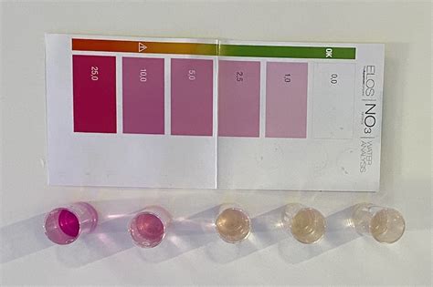 Image result for Positive Nitrate Test