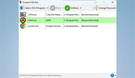 Program Blocker 的图像结果