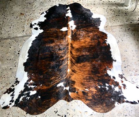 https://texascowhidegallery.com/cdn/shop/collections/2-Cowhide-Rug.jpg?v=1685400282