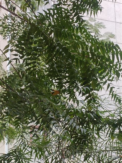 Grassroots Innovation Database [GRID] | Home Page