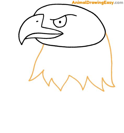 Eagle Draw How Bald 的图像结果