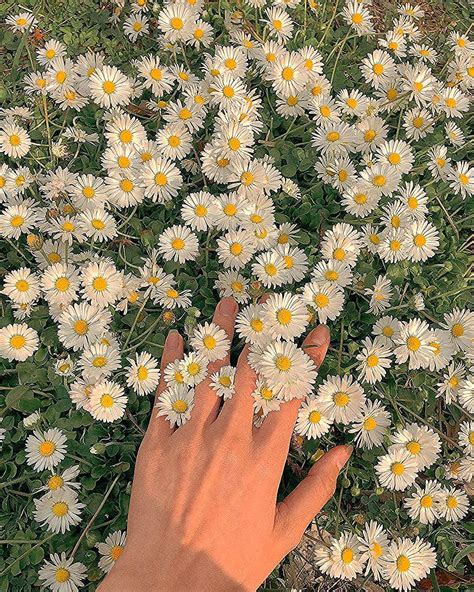 aesthetic photos pinterest