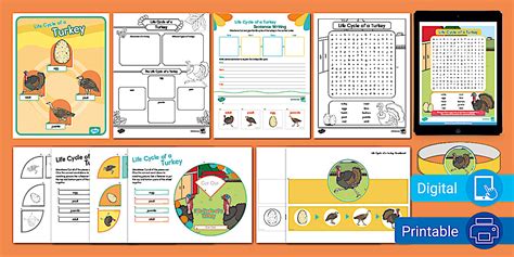 Life Cycle of a Turkey Pack for K-2nd Grade