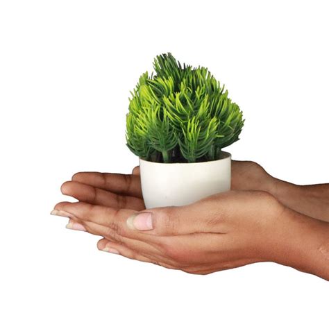 5 inch Artificial Potted Green grass shrub – TrustBasket