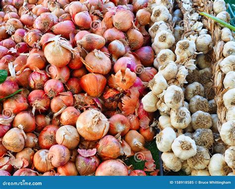 Many Onions and Garlic Heads for Sale at Market Stock Image - Image of ...