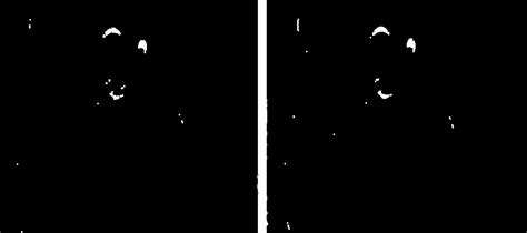 Image result for Python Crop Image