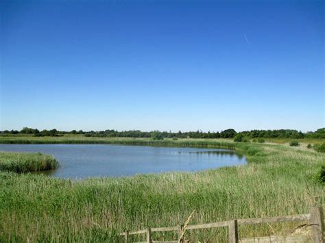 Fiskerton Fen - All You Need to Know BEFORE You Go (with Photos)
