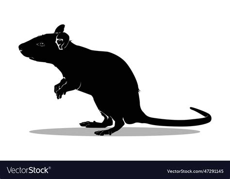 Image result for Rat Python Vector